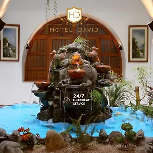 David קיטו